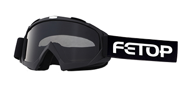 3D model of a pair of Fetop goggles
