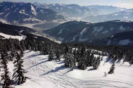 A snow slope with trees and ski tracks